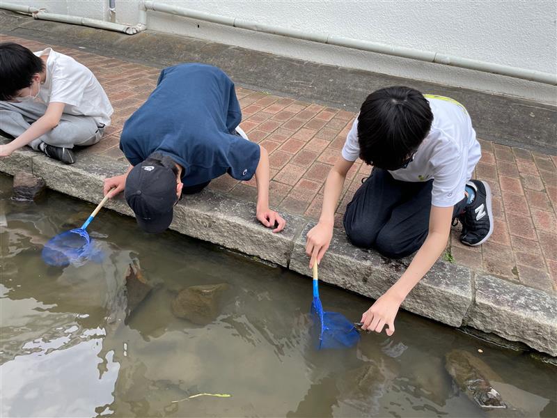 イベント ザリガニ釣りをしました 東京未来大学みらいフリースクール