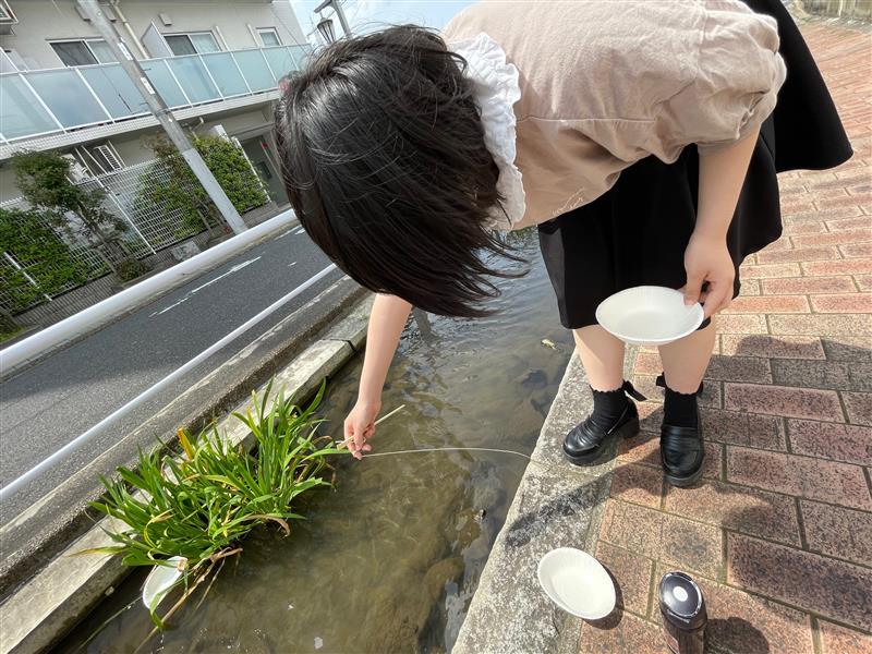 イベント ザリガニ釣りをしました 東京未来大学みらいフリースクール